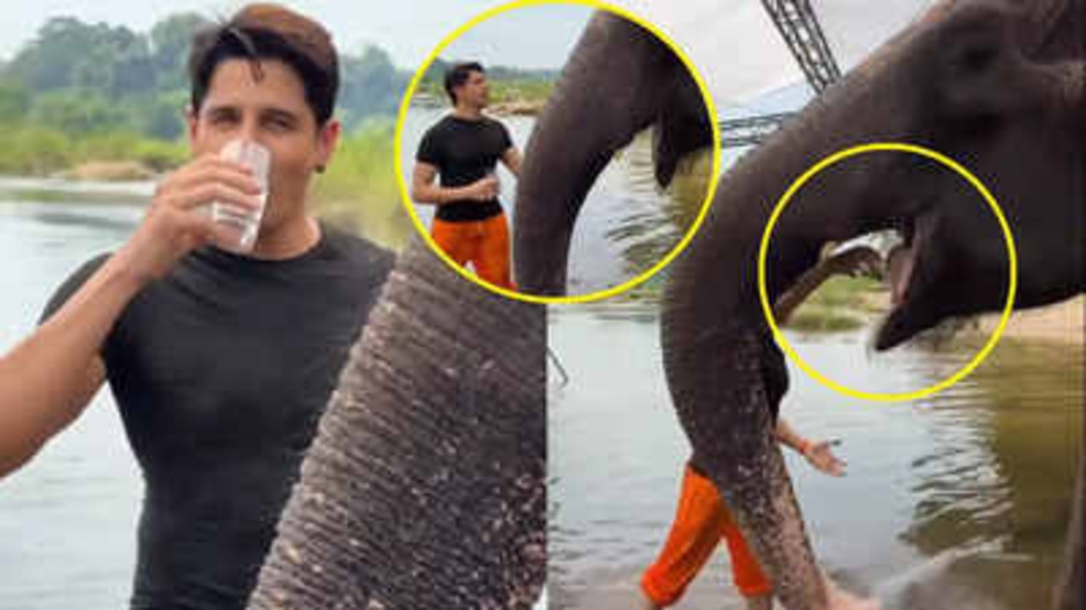 ‘You Are Brainless, He If Form of Ganapati Bappa’, Siddharth Malhotra Trolled For Giving His Used Water To Elephant