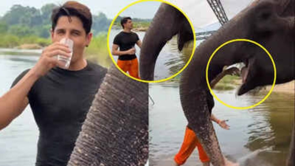 ‘You Are Brainless, He If Form of Ganapati Bappa’, Siddharth Malhotra Trolled For Giving His Used Water To&nbsp;Elephant