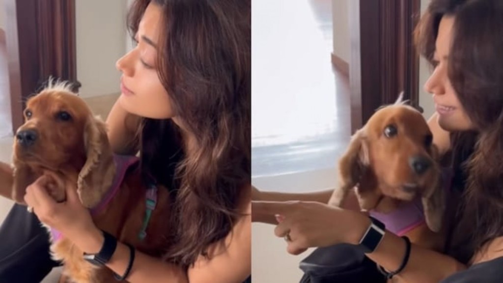 Rashmika Mandanna’s Recent Video Playing With Her Dog Show Her Secret Engagement Ring With A Big&nbsp;Diamond