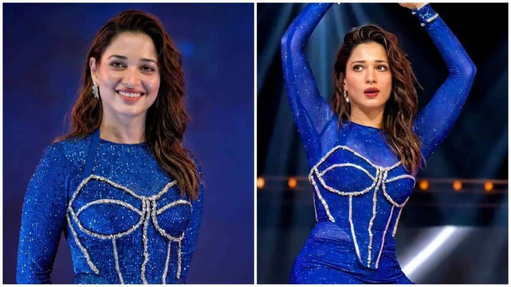 Tamannaah Bhatia Becomes the Item Song Queen Charged Rs 6 Crore Fee for 6-Minute New Year Performance